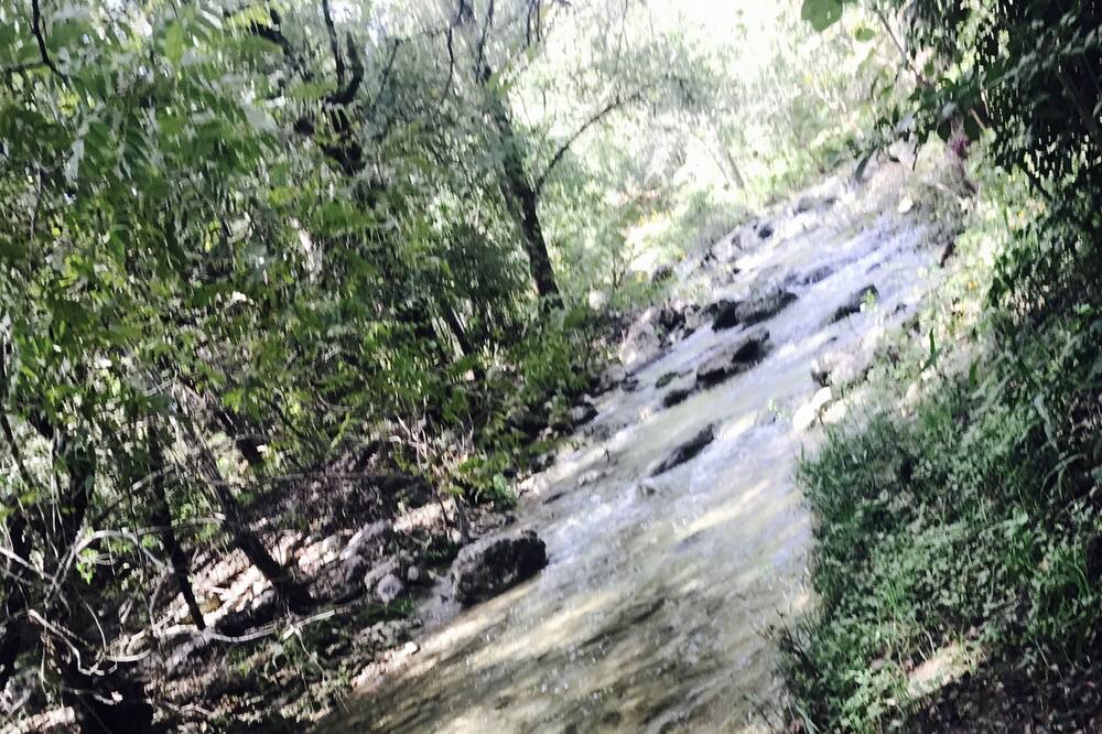 Photo of Others in Austin