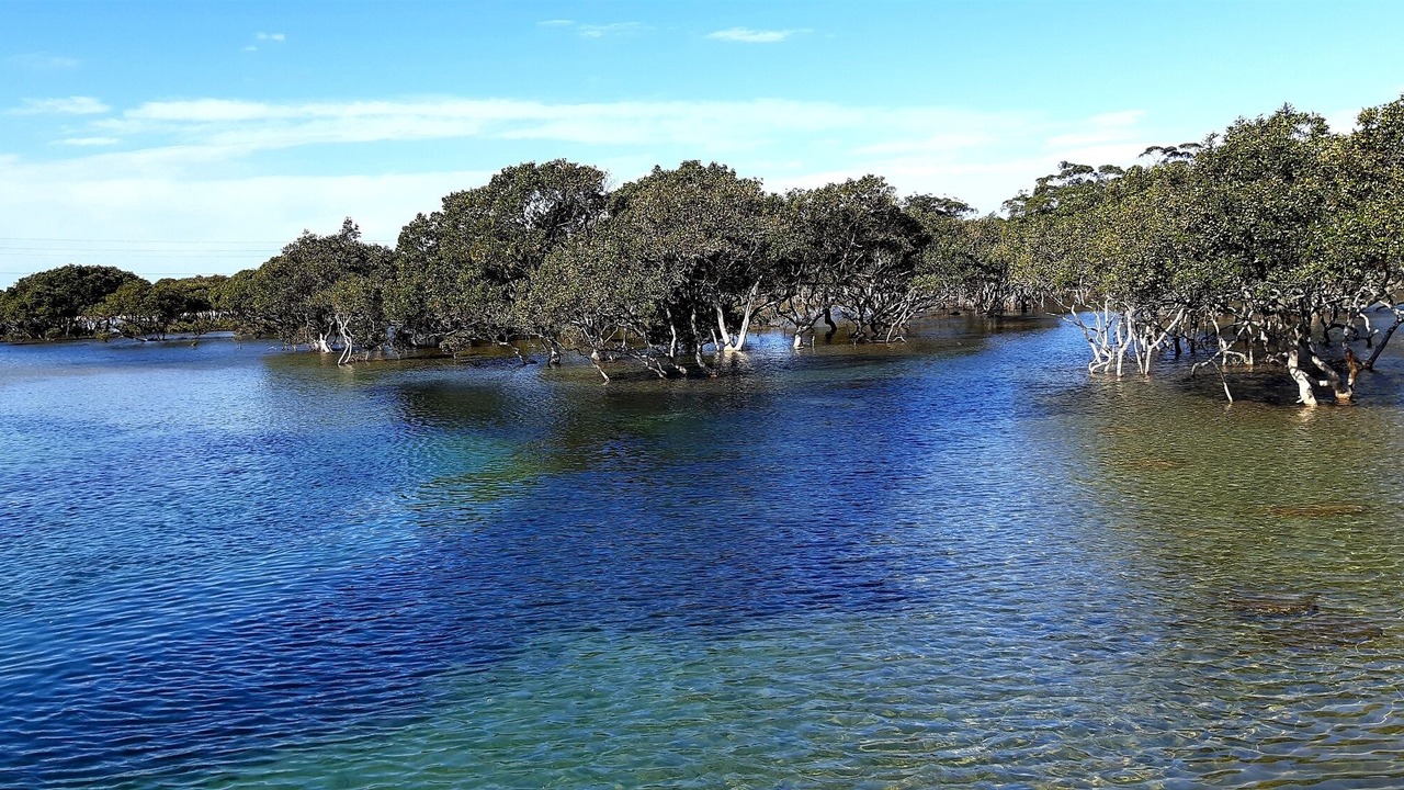 Photo of Outdoor in Bundeena