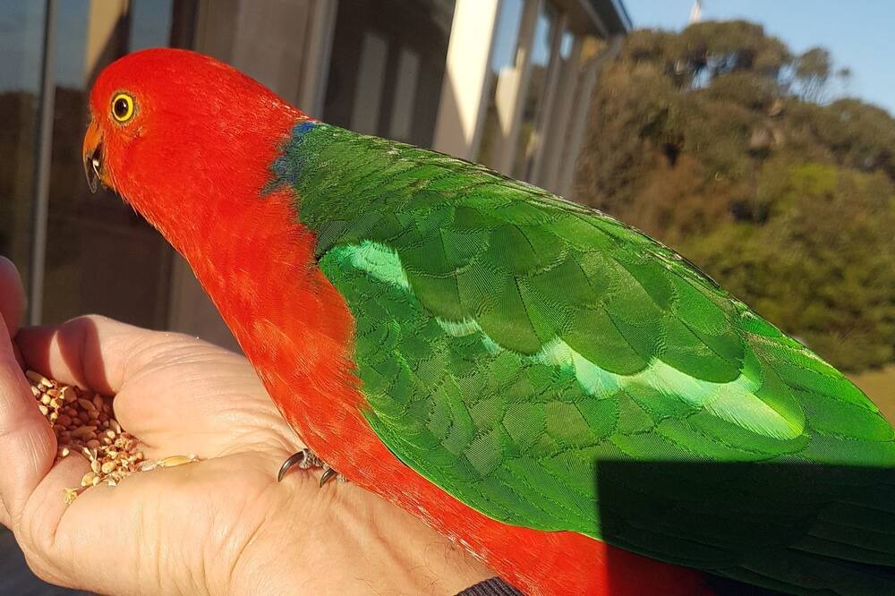 Photo of Others in Fairhaven