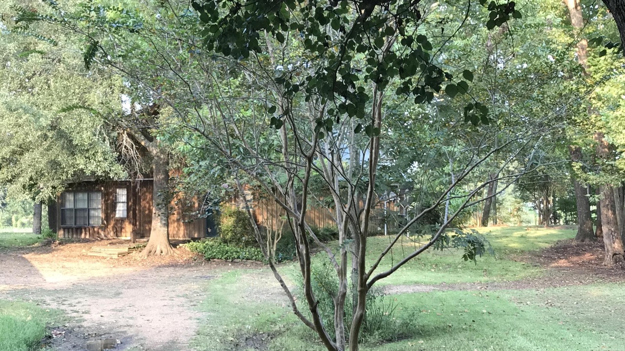 Photo of Outdoor in Jonesville