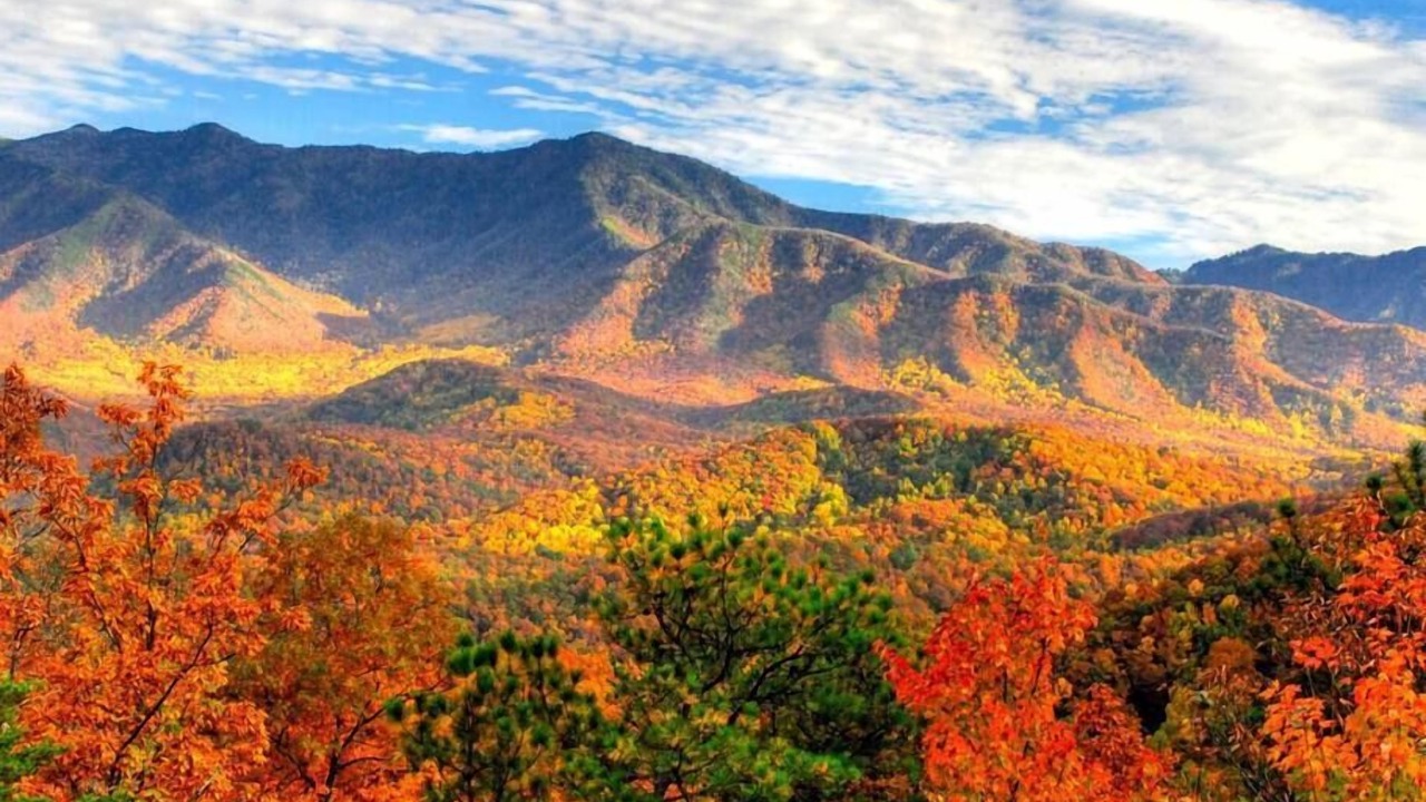 Photo of Outdoor in Johnson City