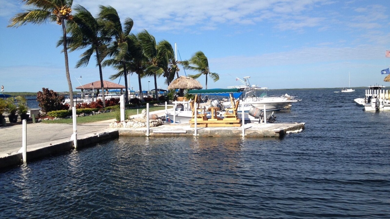 Photo of Others in Key Largo Village