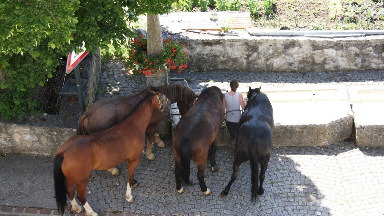 Photo of Outdoor in Le Paquier
