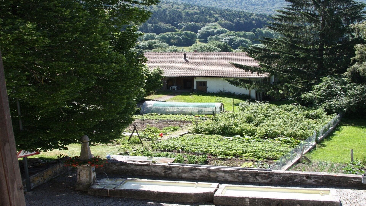Photo of Outdoor in Le Paquier