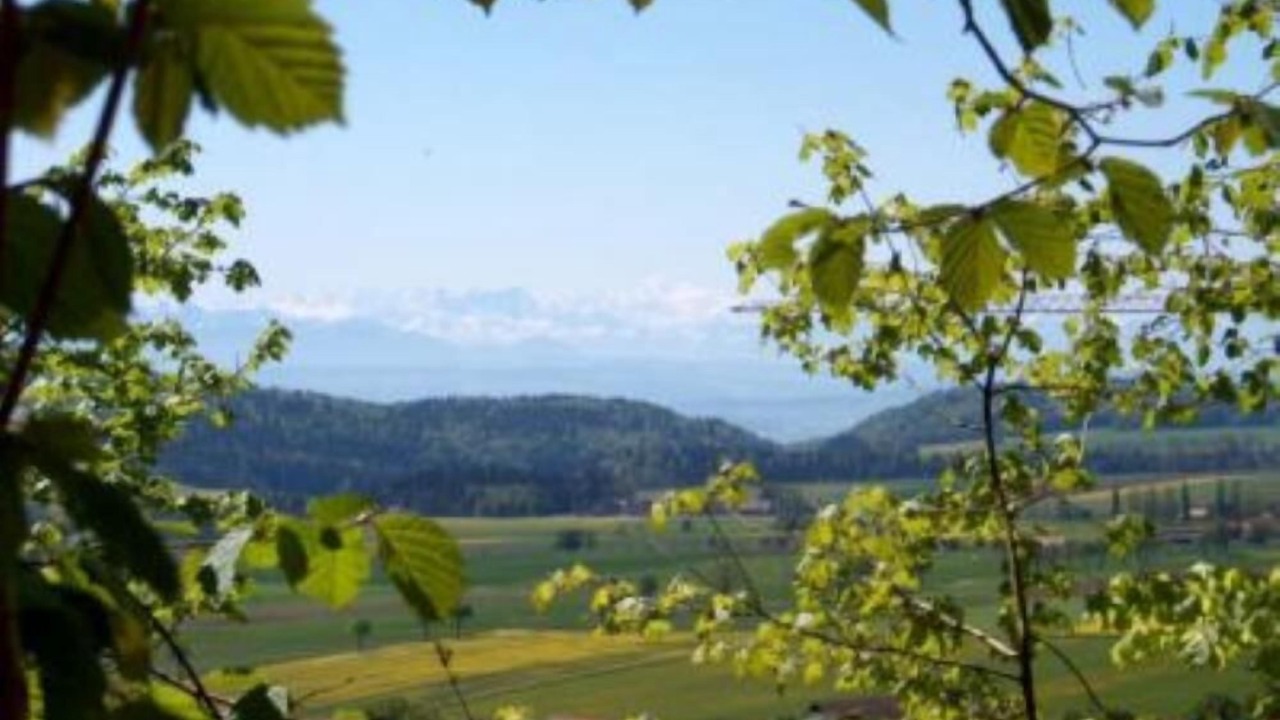 Photo of Outdoor in Le Paquier