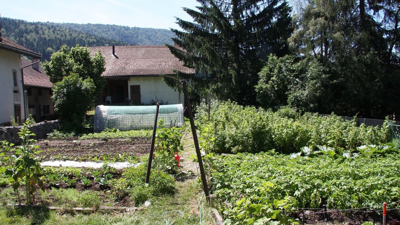 Photo of Outdoor in Le Paquier