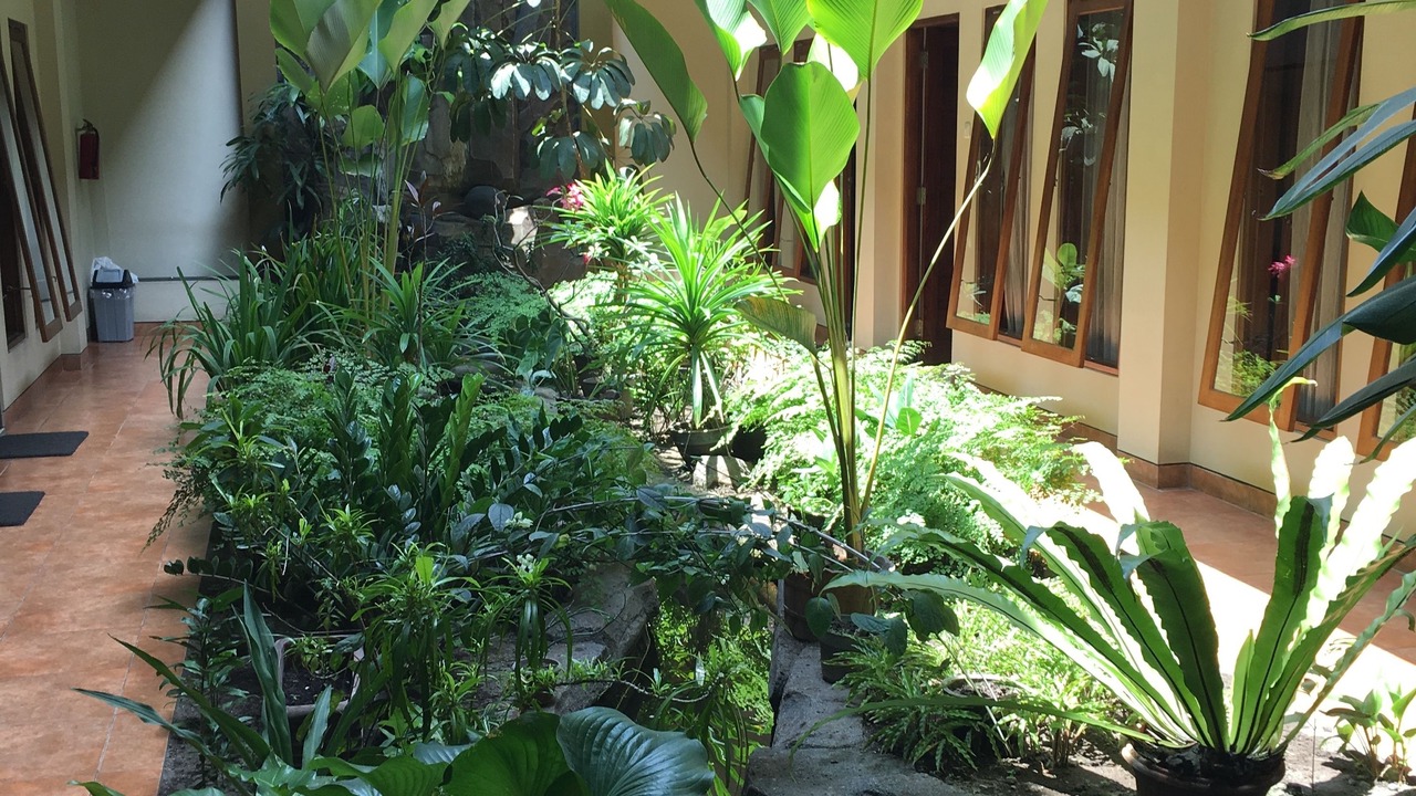 Photo of Outdoor in Prawirotaman