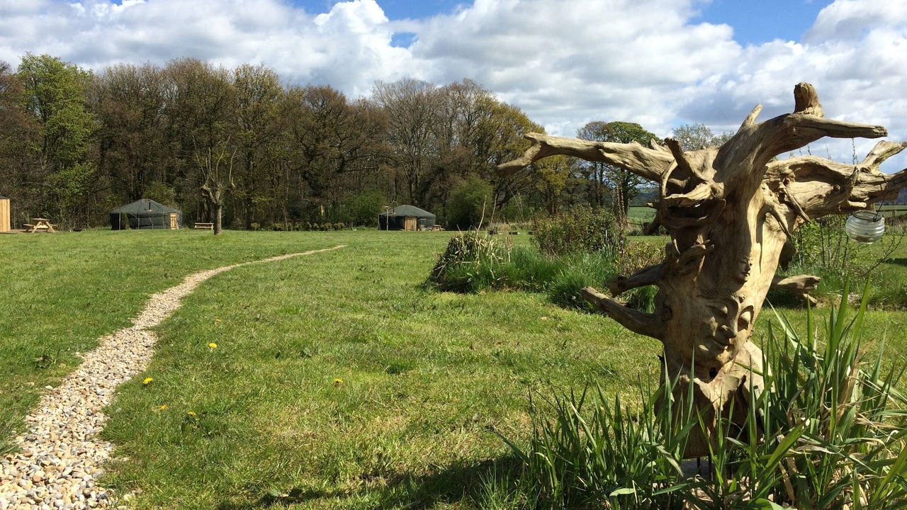 Photo of Outdoor in Guisborough