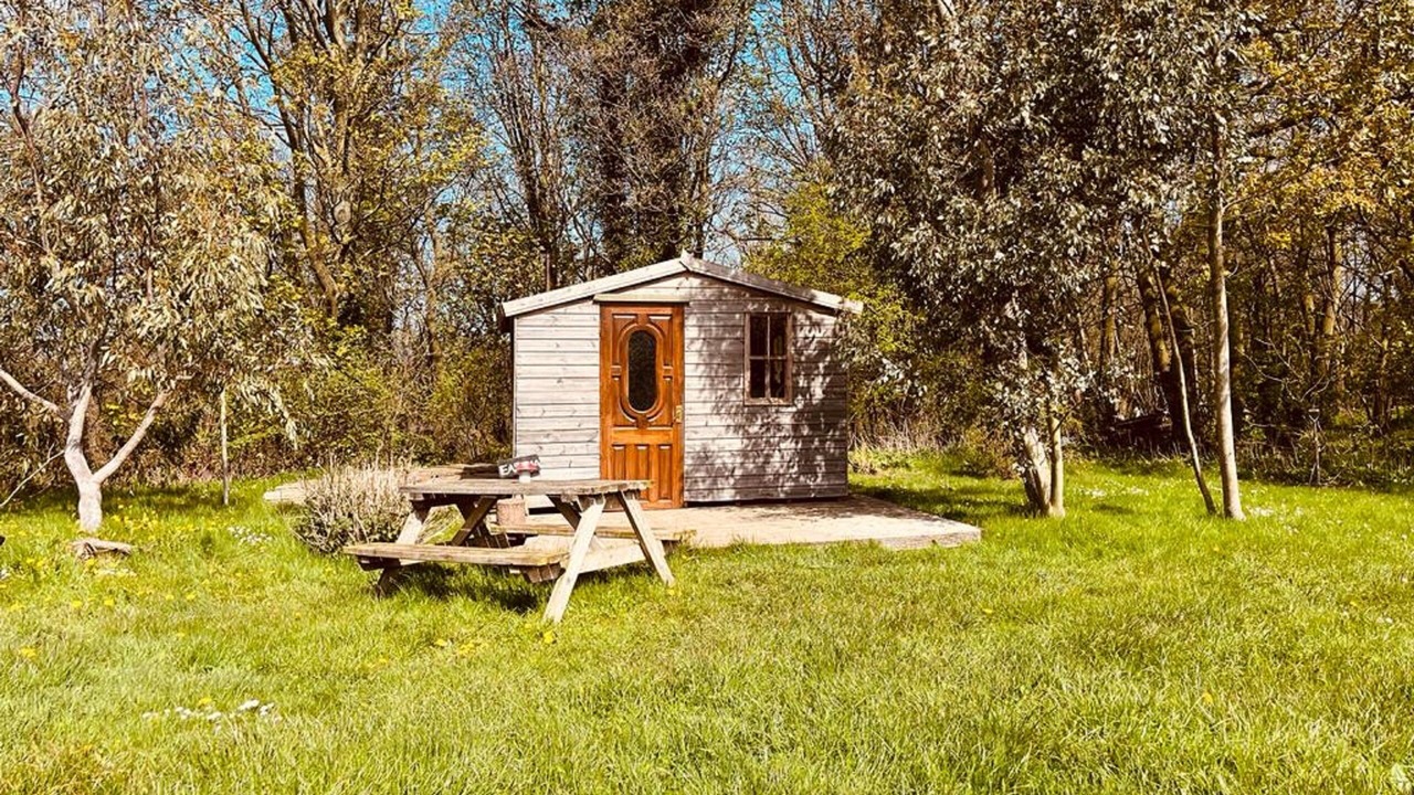 Photo of Others in Guisborough