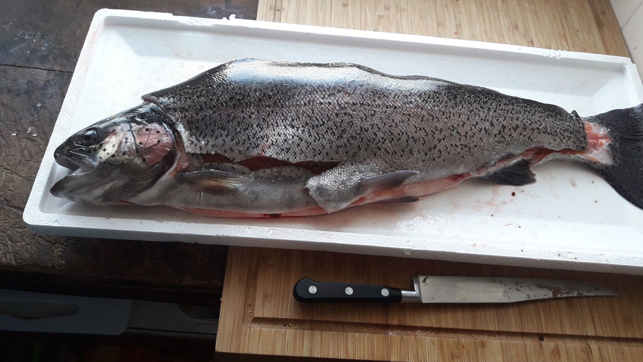 Photo of Others in Tarascon-sur-Ariege