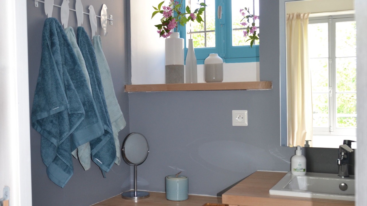 Photo of Bathroom in Pardies-Pietat