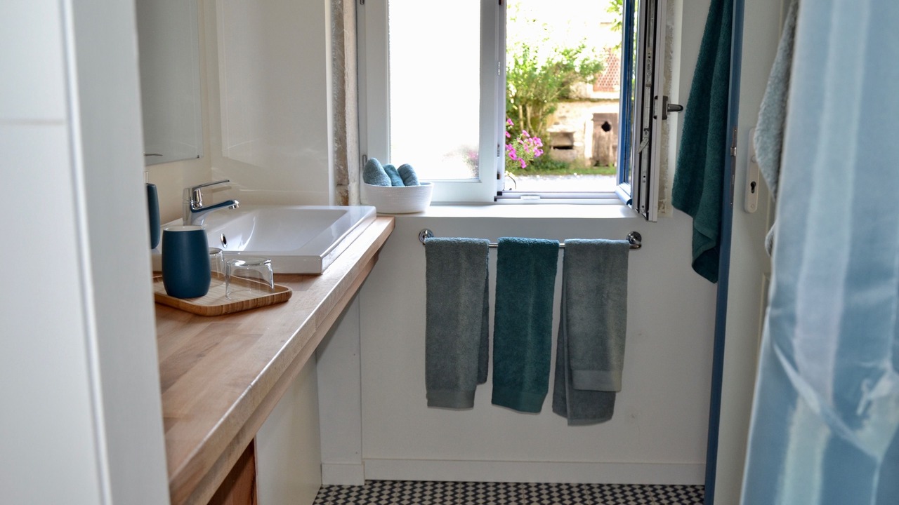 Photo of Bathroom in Pardies-Pietat