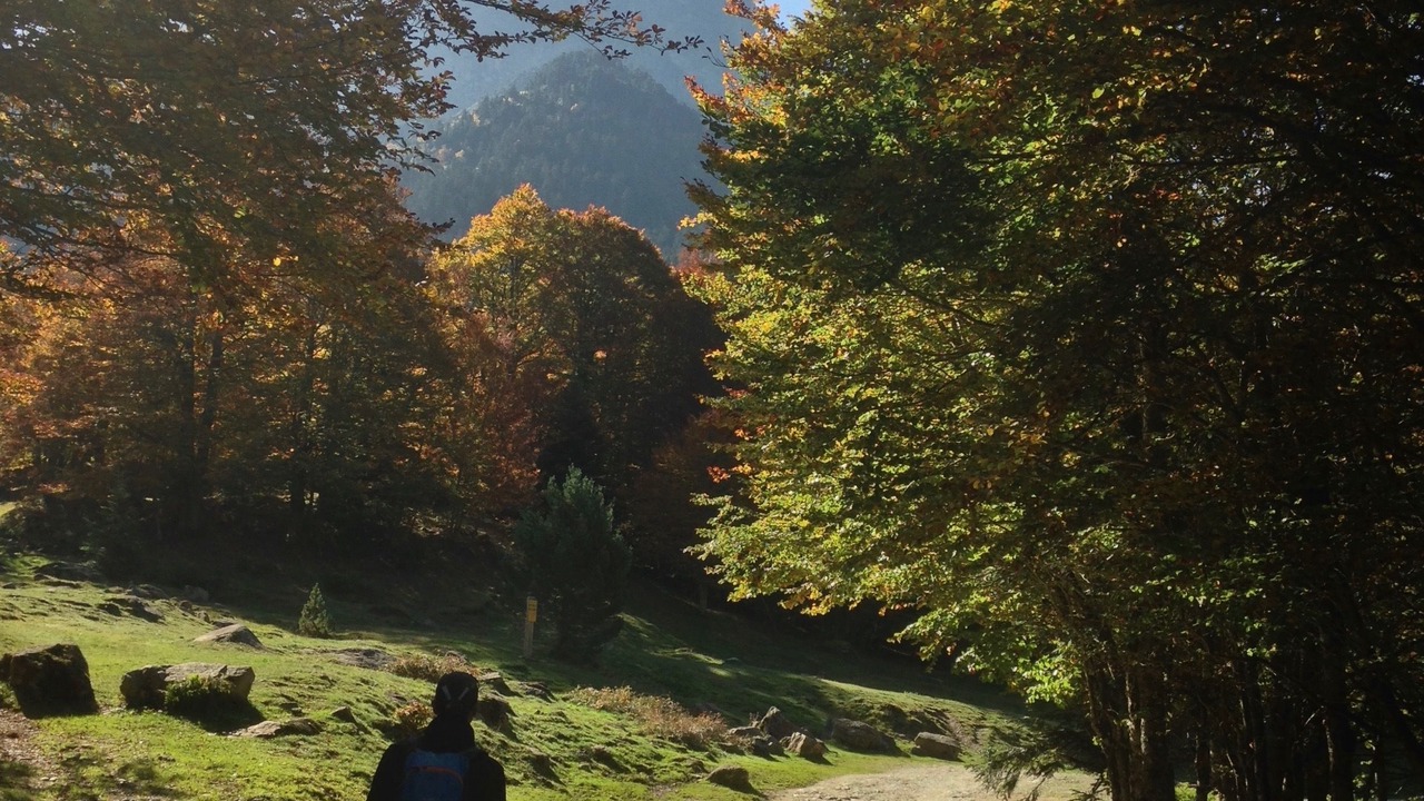 Photo of Outdoor in Pardies-Pietat