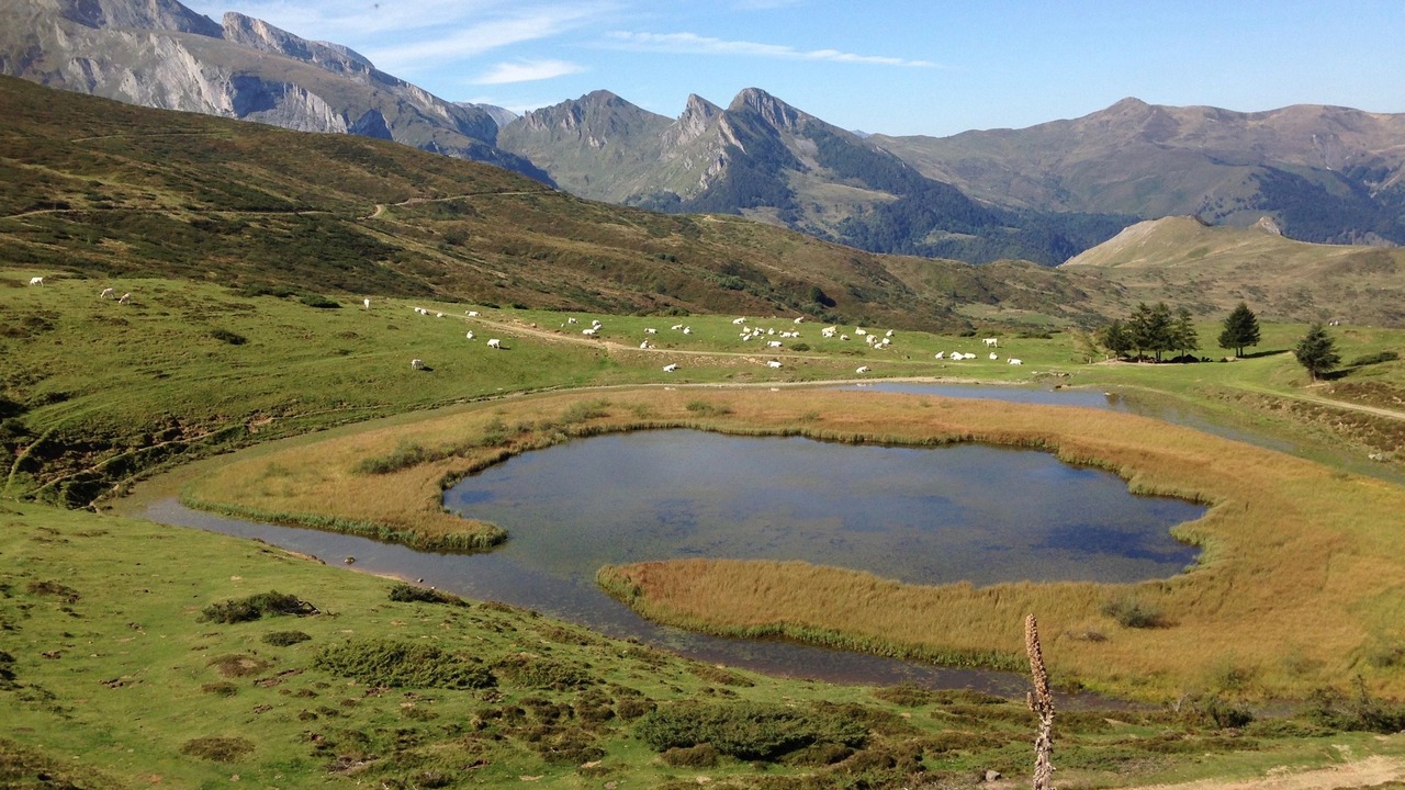 Photo of Outdoor in Pardies-Pietat