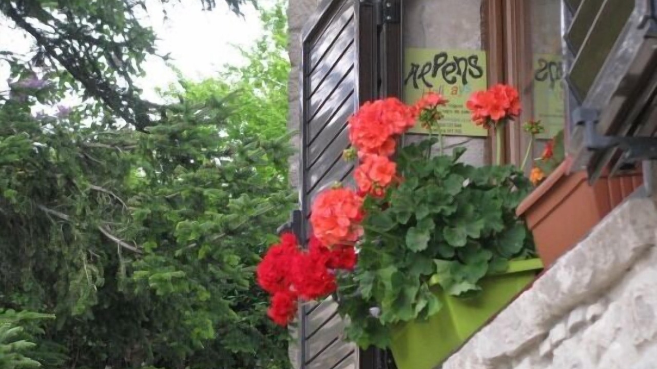 Photo of Outdoor in Alpens