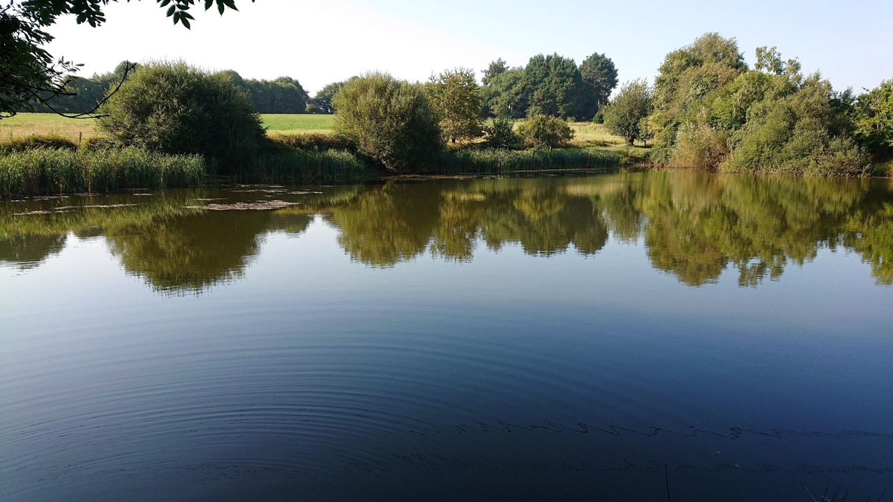 Photo of Outdoor in Pluvigner