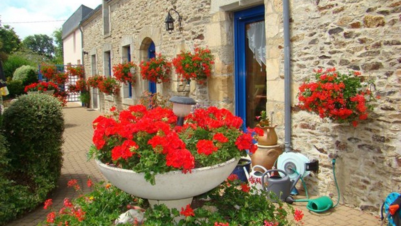 Photo of Outdoor in Pluvigner