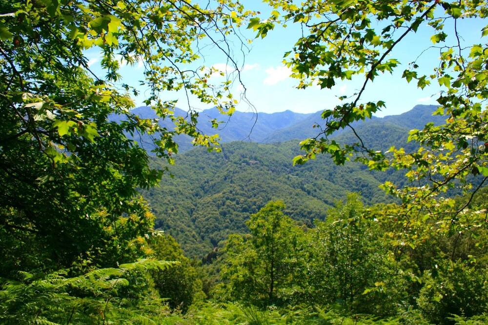Photo of Outdoor in Piedicroce