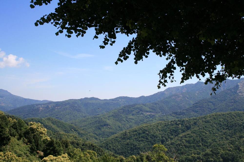 Photo of Outdoor in Piedicroce