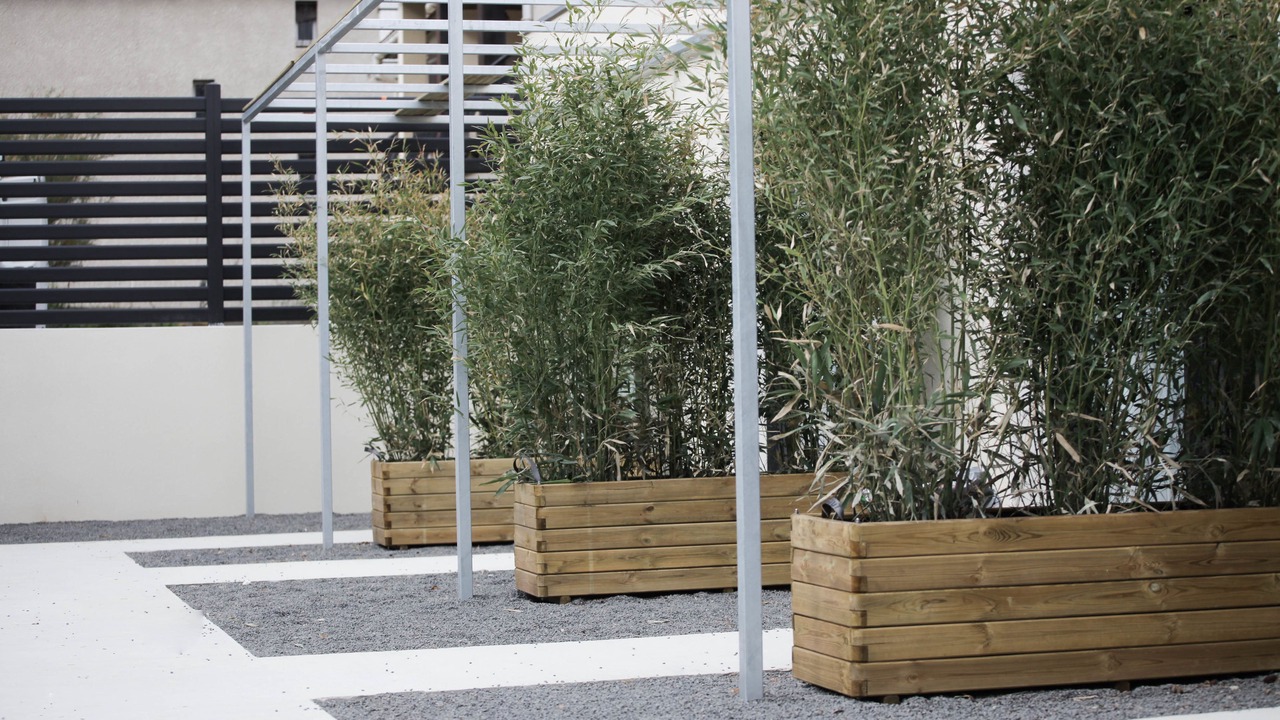 Photo of Outdoor in Carcassonne