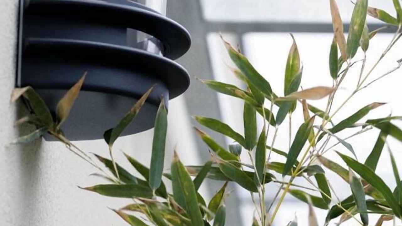 Photo of Outdoor in Carcassonne