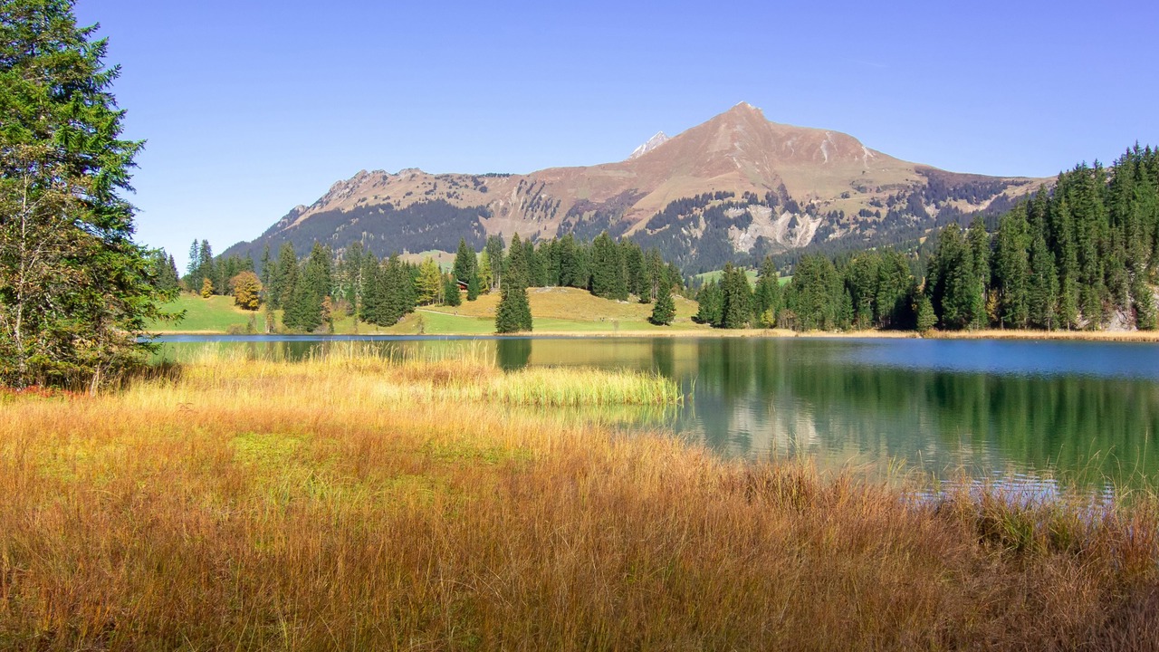 Photo of Outdoor in Lauenen