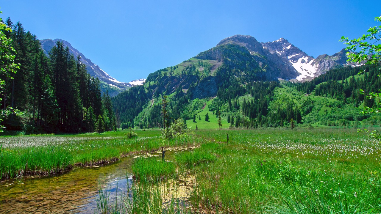 Photo of Outdoor in Lauenen
