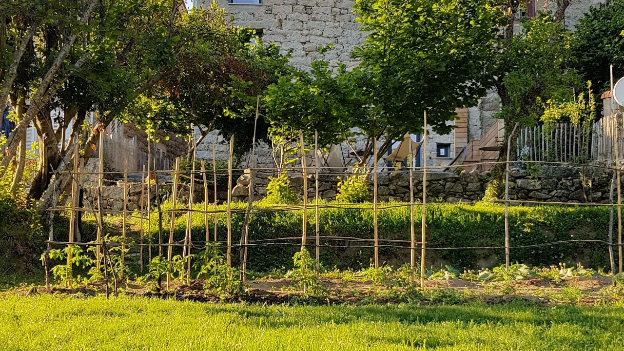 Photo of Outdoor in Bastelica