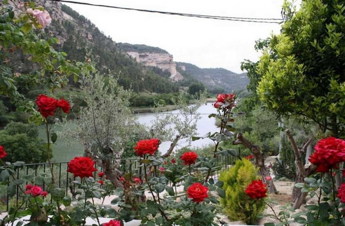 Photo of Outdoor in Tolosa