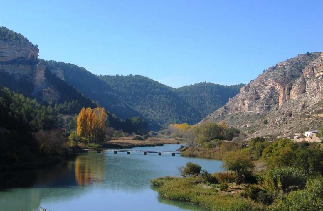 Photo of Others in Tolosa