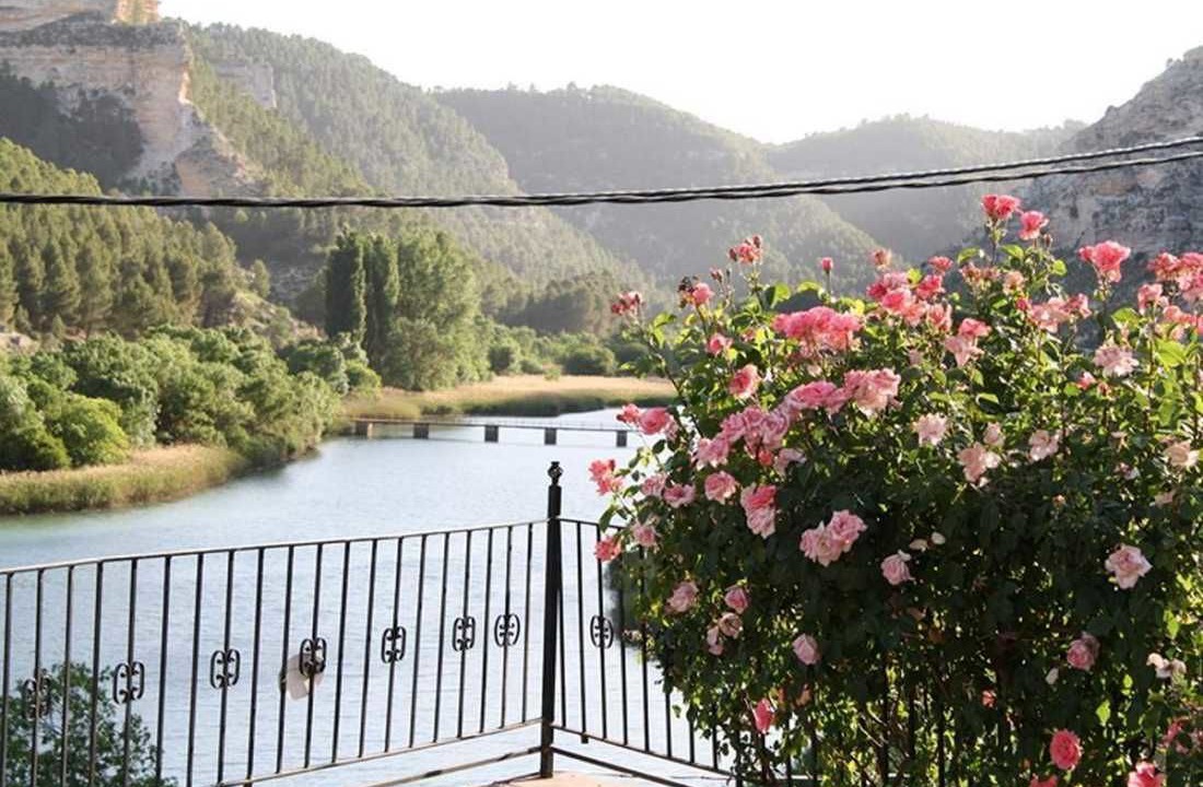 Photo of Outdoor in Tolosa