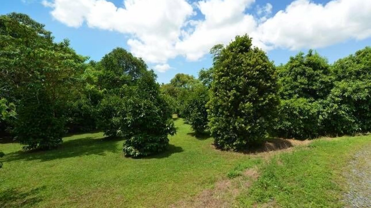 Photo of Outdoor in Diwan