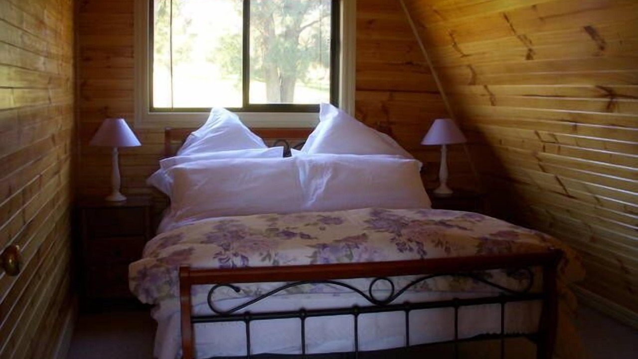 Photo of Others in Tolmie