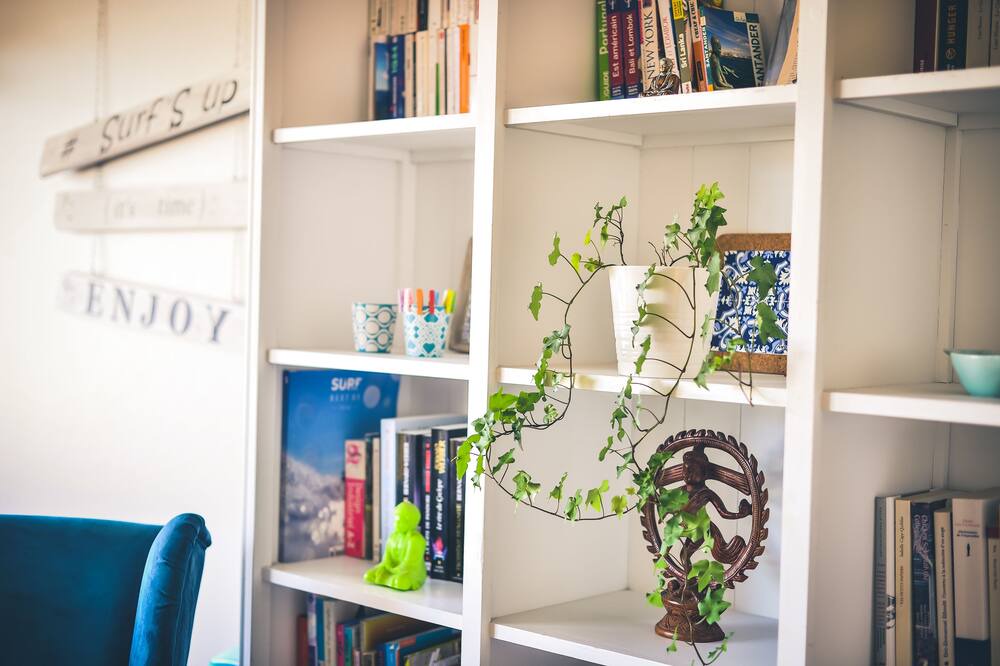 Photo of Others in Mimizan