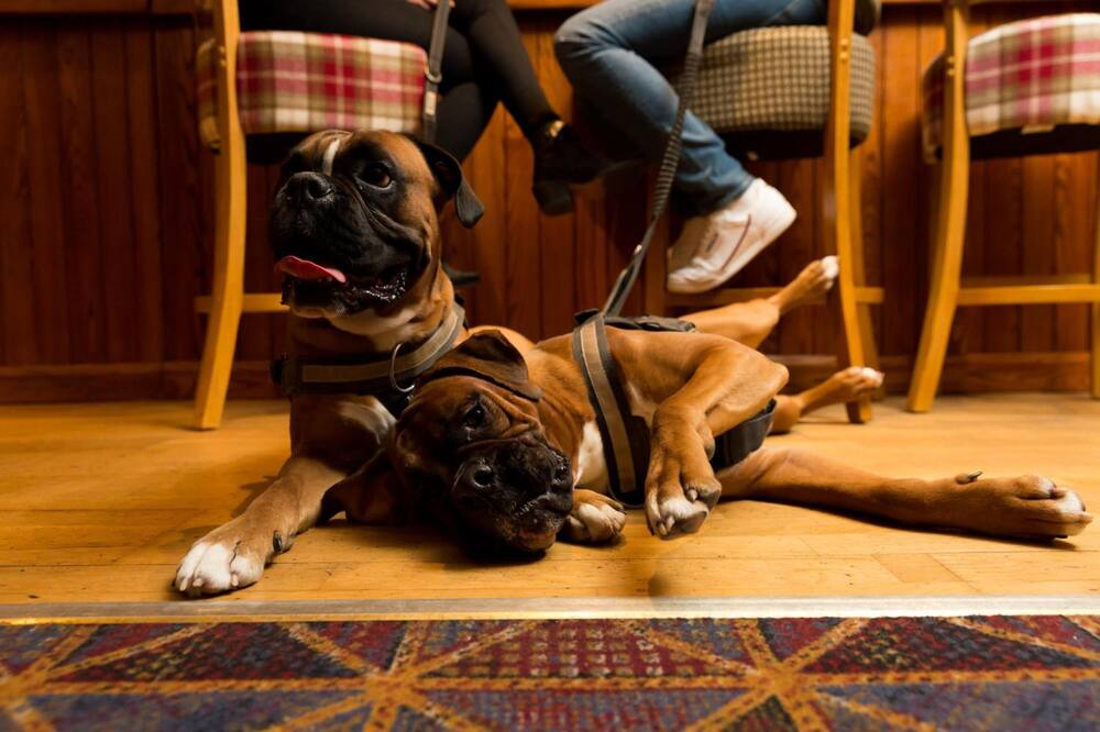 Photo of Others in Warkworth