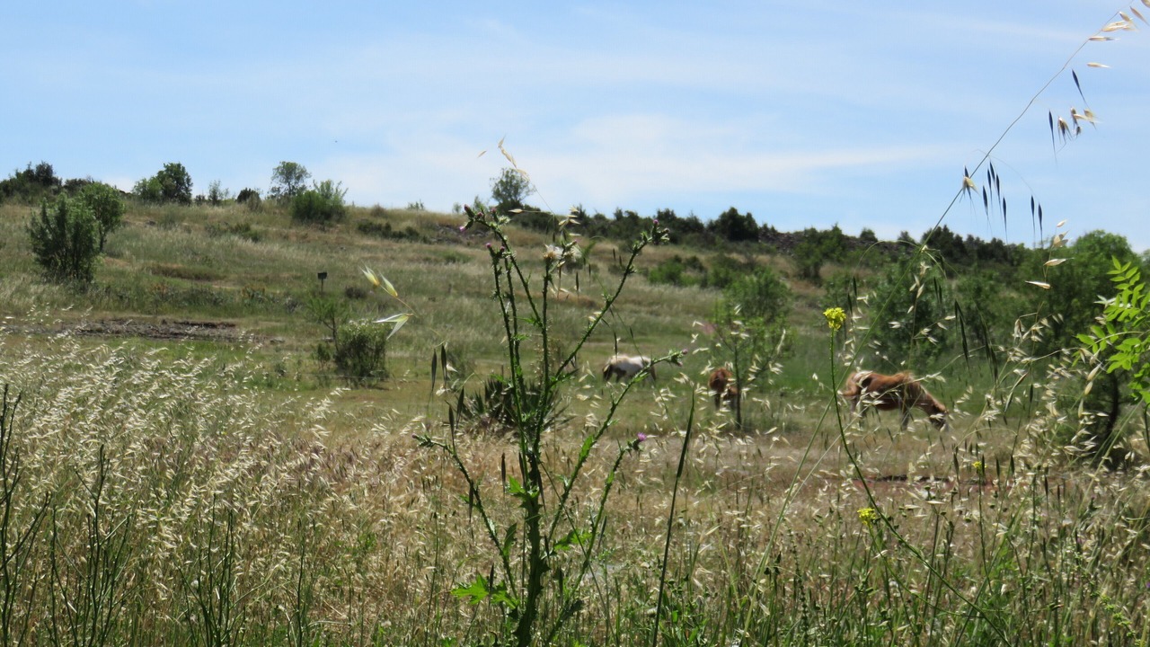 Photo of Outdoor in Octon