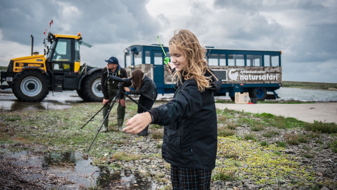 Photo of Others in Thyboron