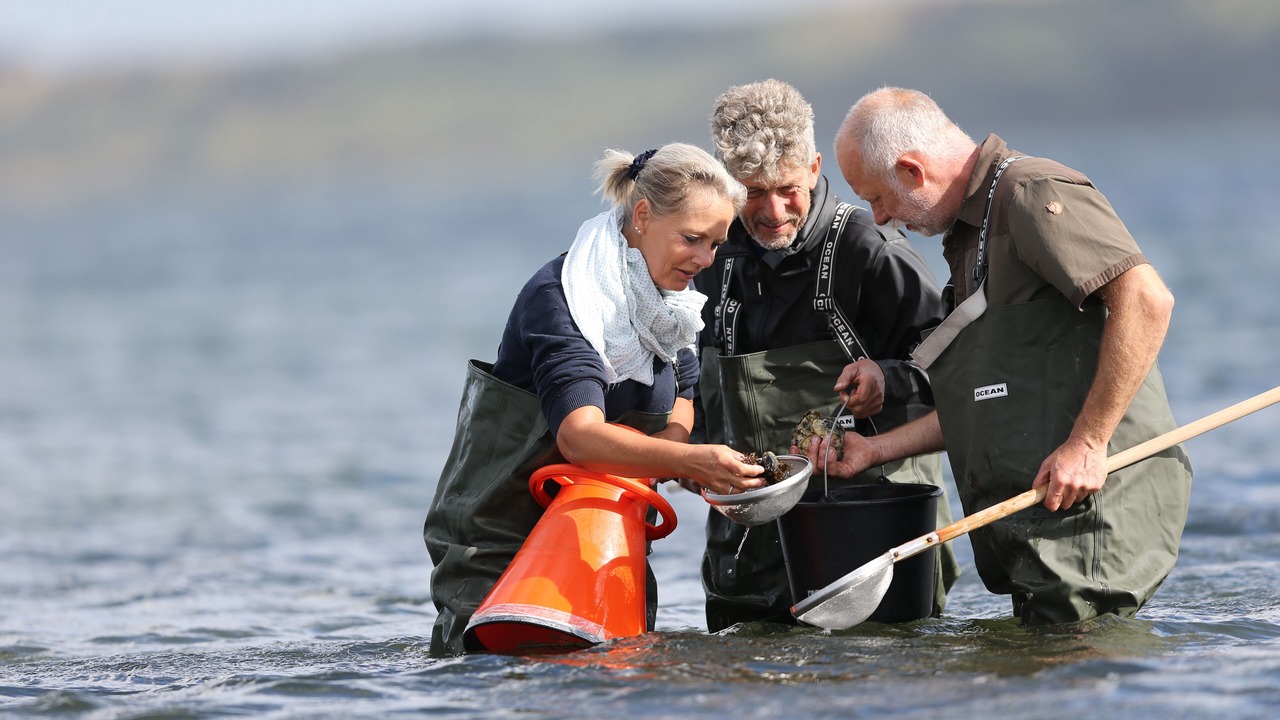 Photo of Others in Thyboron