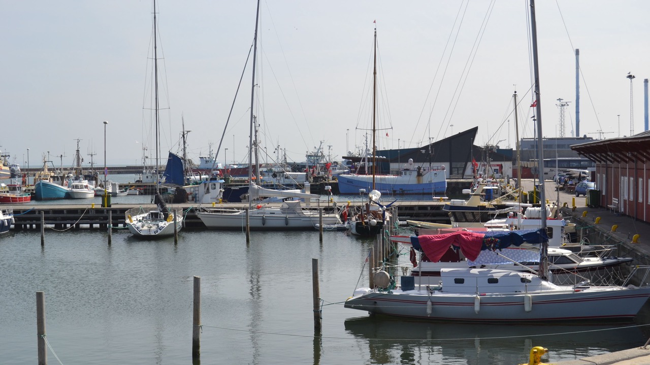 Photo of Others in Thyboron