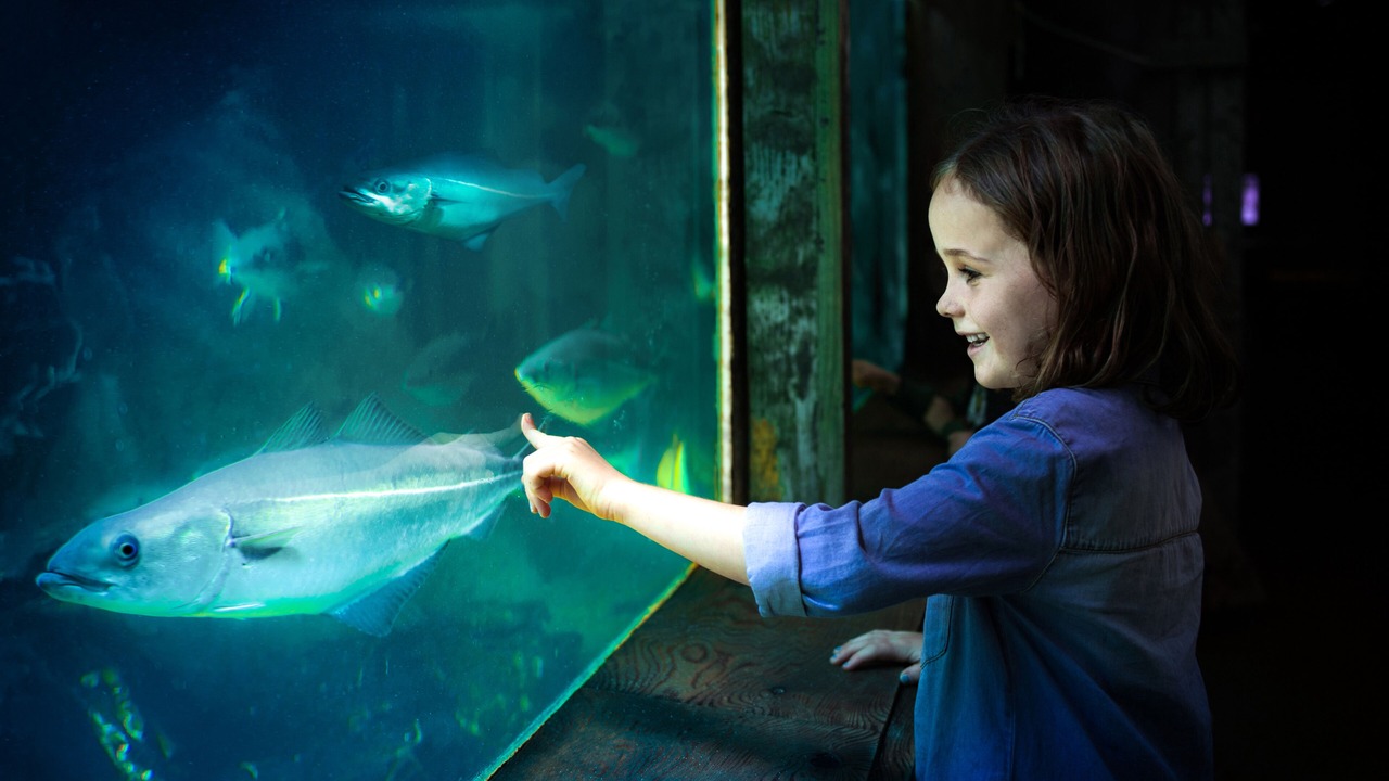 Photo of Others in Thyboron