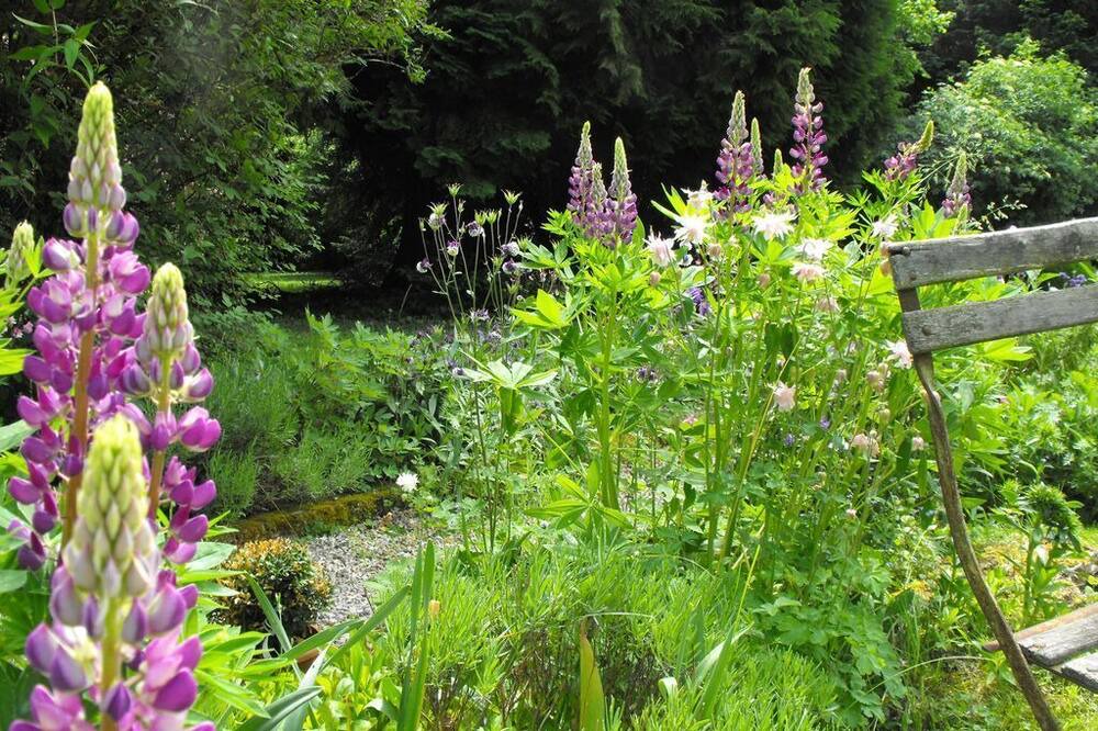 Photo of Others in Valentigney