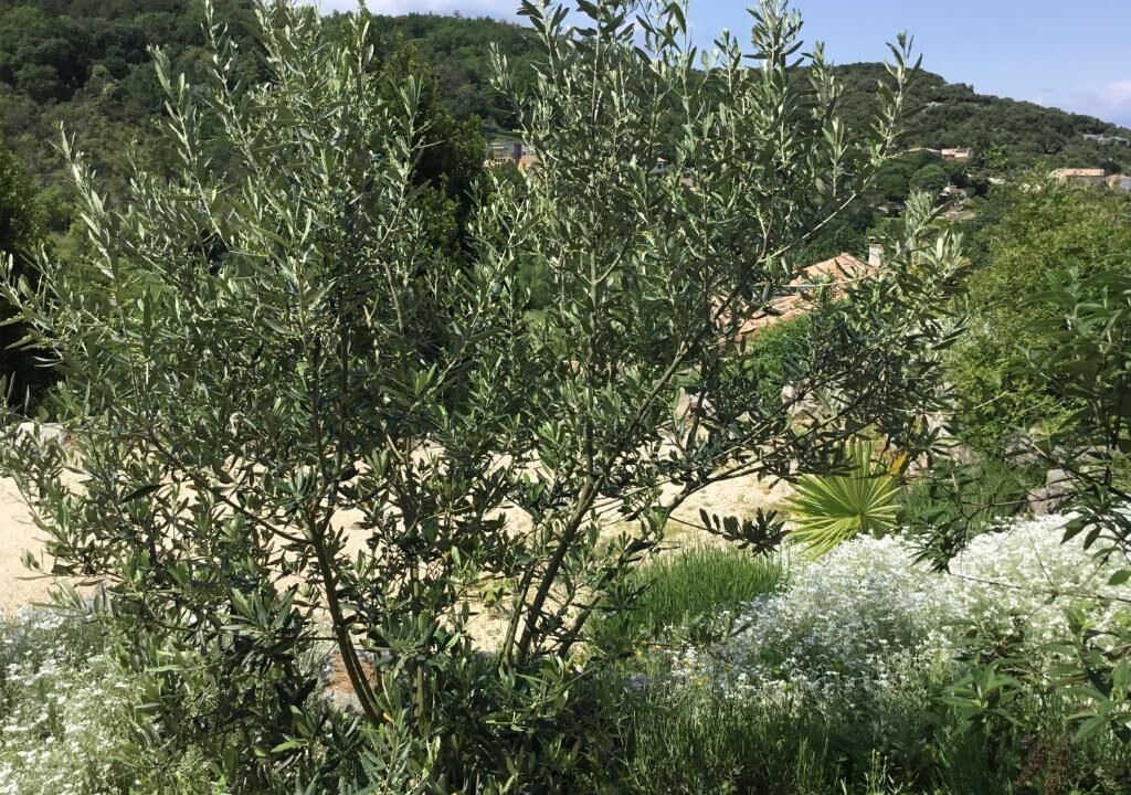 Photo of Outdoor in Salavas