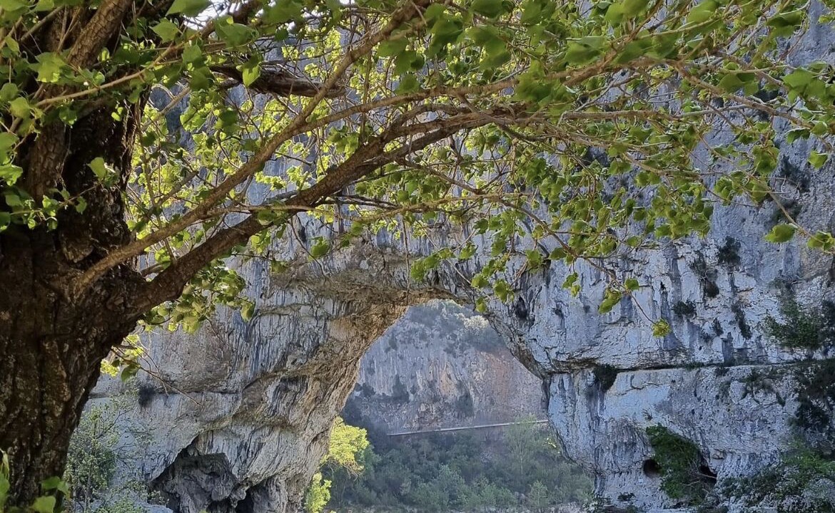 Photo of Others in Vallon-Pont-d'Arc