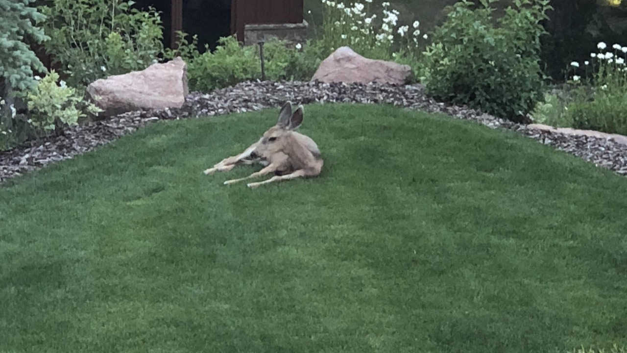 Photo of Outdoor in Deer Valley