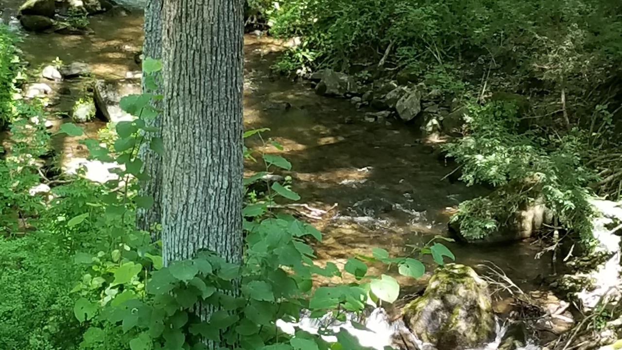 Photo of Outdoor in Lakeville