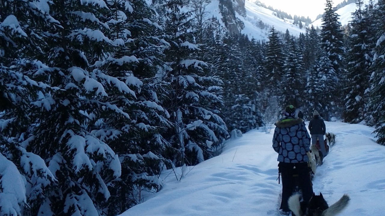 Photo of Others in Bogeve