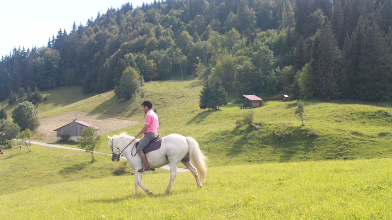 Photo of Others in Bogeve