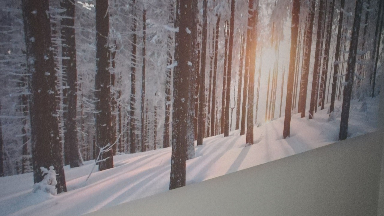 Photo of Bedroom in Saint-Aubin-en-Charollais