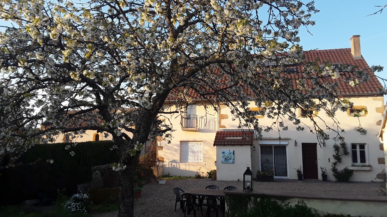 Photo of Outdoor in Saint-Aubin-en-Charollais