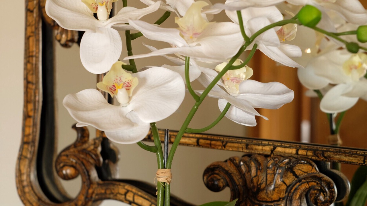 Photo of Others in Telford